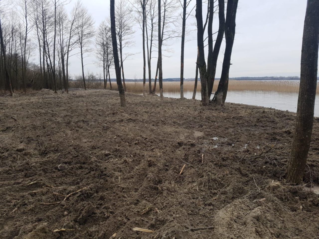 Działka rolno-budowlana Kikity. Zdjęcie 2