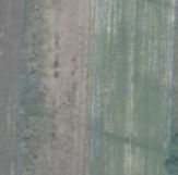 Działka inwestycyjna Kuczki-Kolonia. Zdjęcie 3