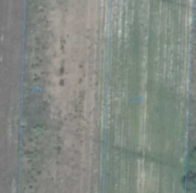 Działka inwestycyjna Kuczki-Kolonia. Zdjęcie 4