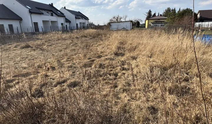 Działka budowlana Bieniewice, ul. Akacjowa