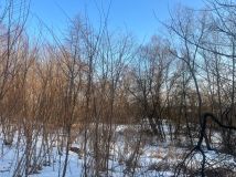 Działka rolna Jadowniki. Zdjęcie 1