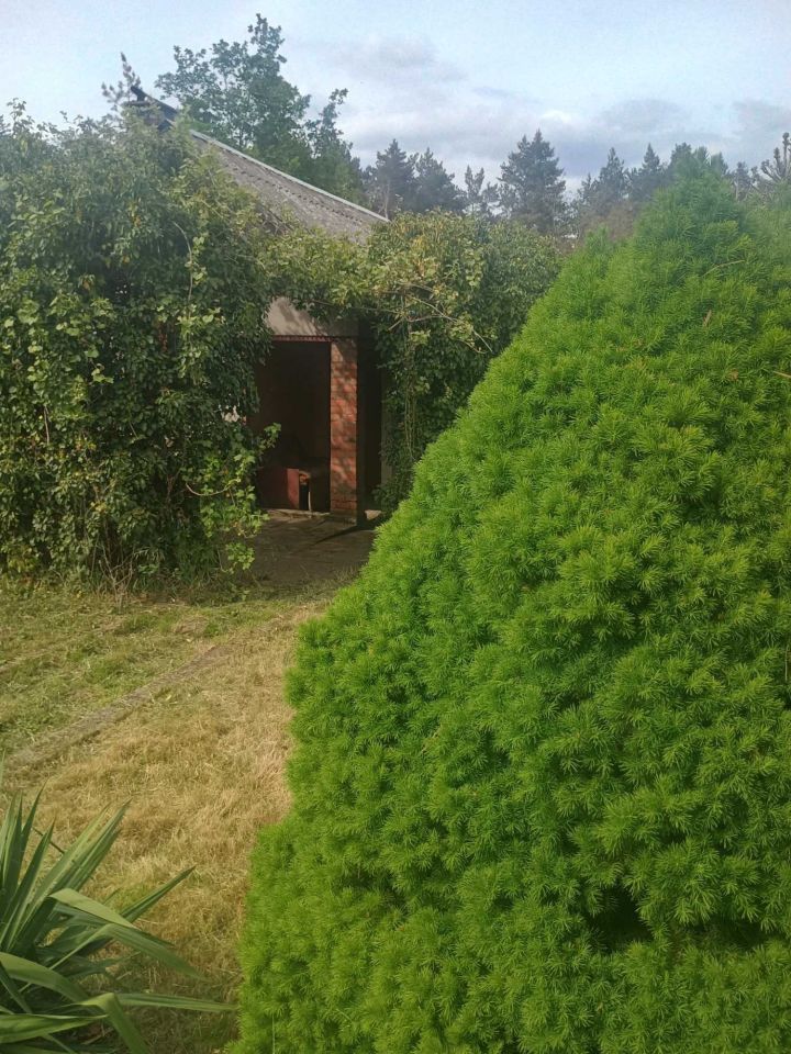 Działka rod Zielona Góra Przylep, ul. Foluszowa. Zdjęcie 3