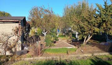 Działka rod Zielona Góra Jędrzychów