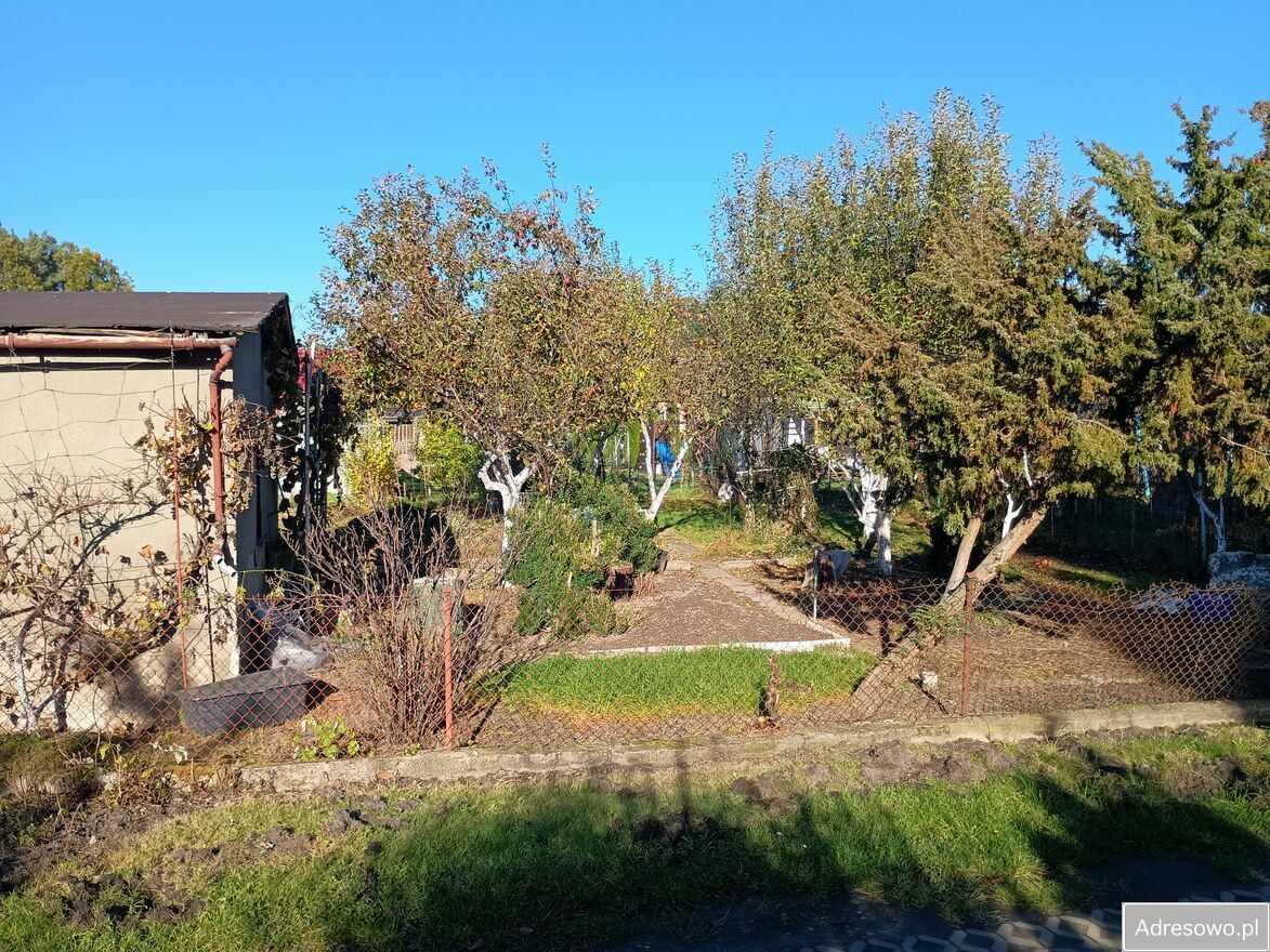 Działka rod Zielona Góra Jędrzychów. Zdjęcie 2