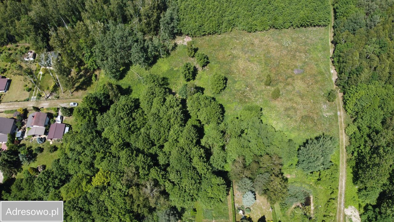 Działka budowlana Chojne. Zdjęcie 2