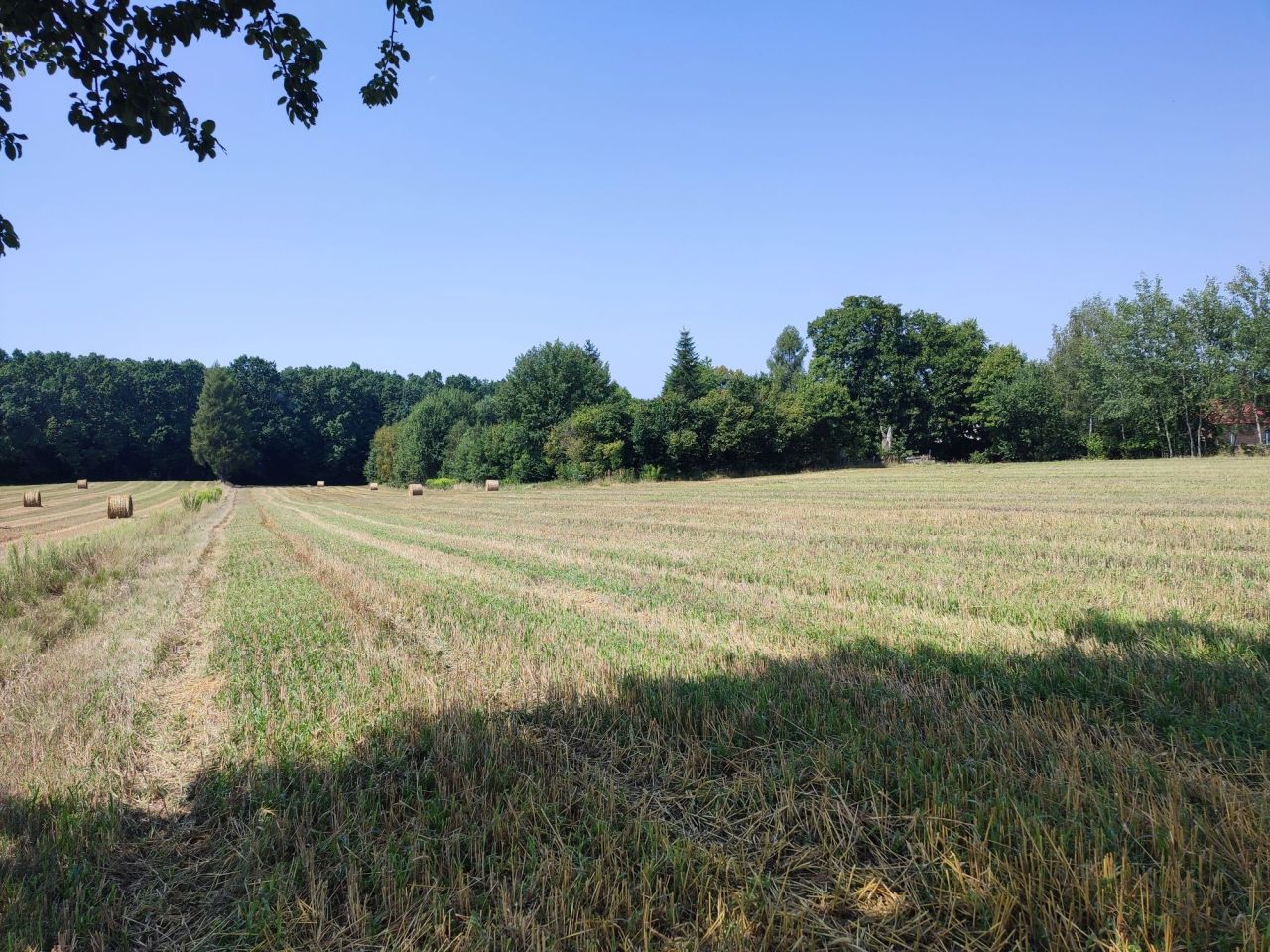 dom wolnostojący Bukowa Wielka. Zdjęcie 4