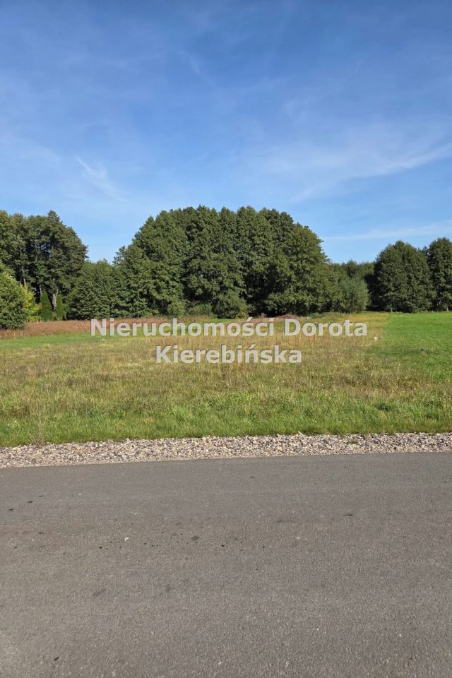 Działka budowlana Olszowiec. Zdjęcie 2