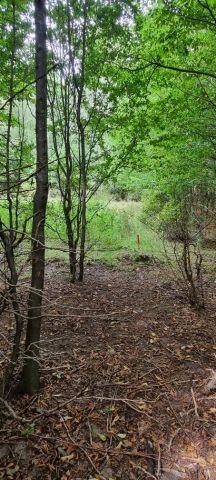 Działka budowlana Marszewska Kolonia. Zdjęcie 1