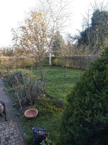 Działka rod Brzeg Dolny. Zdjęcie 1