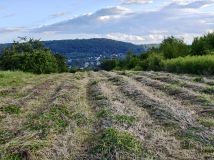 Działka rolna Kraków Mydlniki, ul. mjr. Łupaszki. Zdjęcie 4