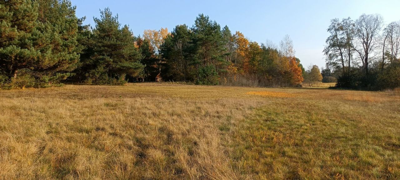 Działka rekreacyjna Zambski Kościelne. Zdjęcie 8