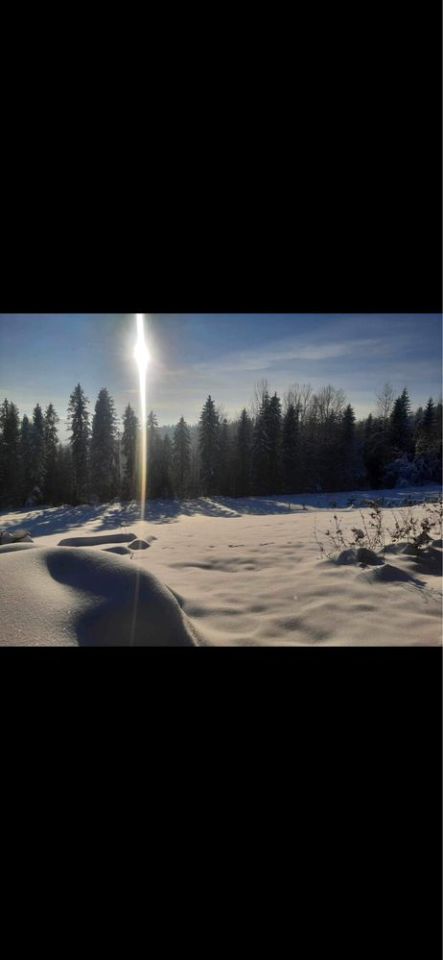 Działka rolna Ochotnica Górna. Zdjęcie 2