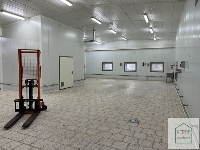 Hala/magazyn Biernatki, al. Flensa. Zdjęcie 6