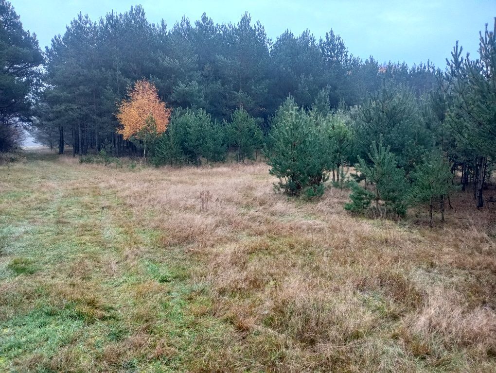 Działka rolna Mstów. Zdjęcie 6