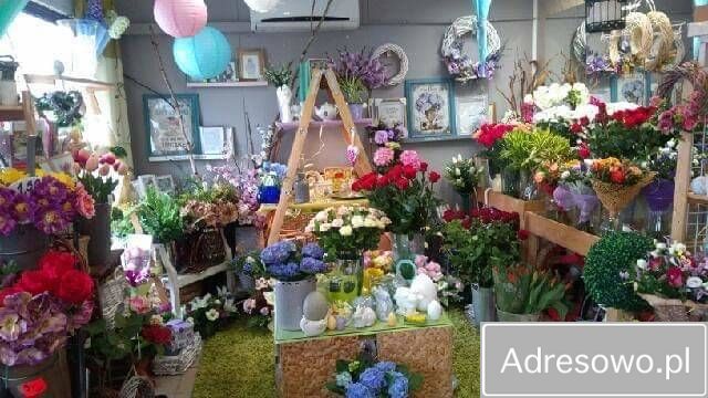 Lokal Wrocław Gaj. Zdjęcie 4