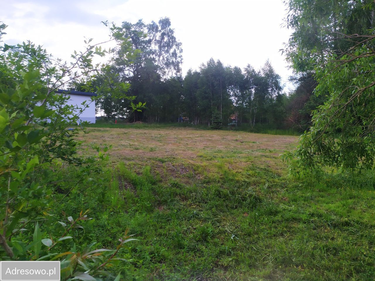 Działka budowlana Dąbrówka Mała. Zdjęcie 3