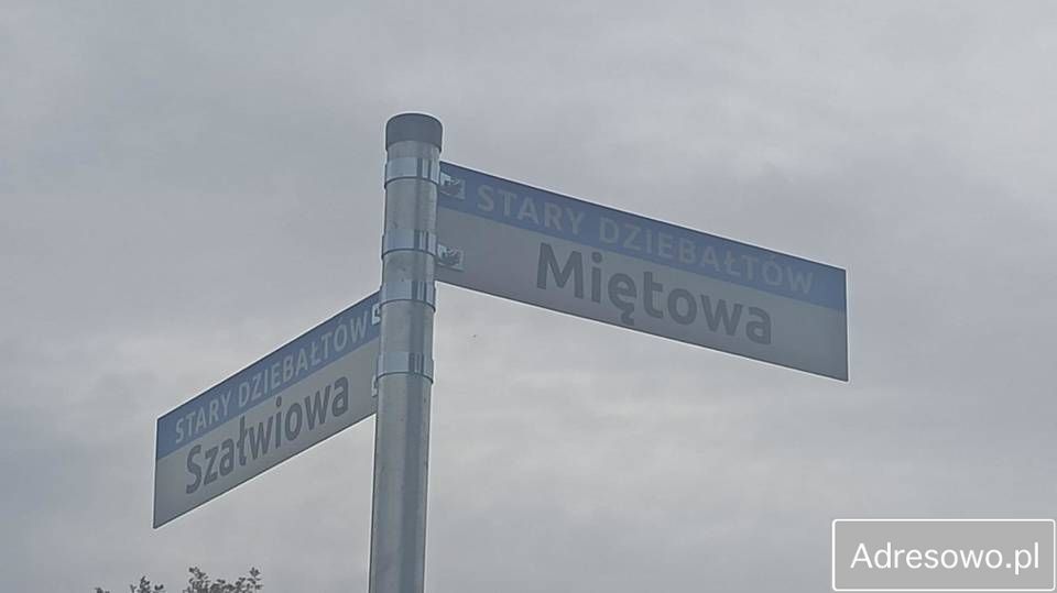 dom wolnostojący, 3 pokoje Stary Dziebałtów, ul. Miętowa. Zdjęcie 4