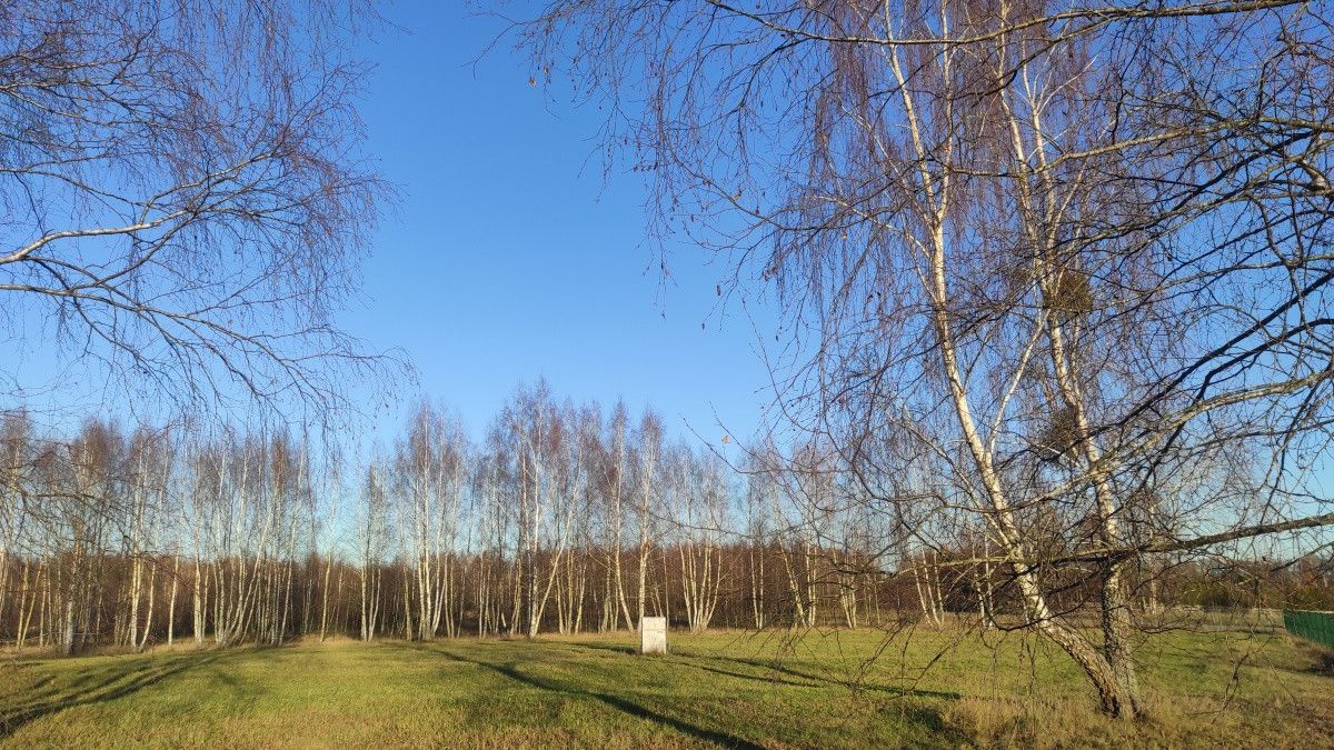 Działka budowlana Szczechy Małe. Zdjęcie 2