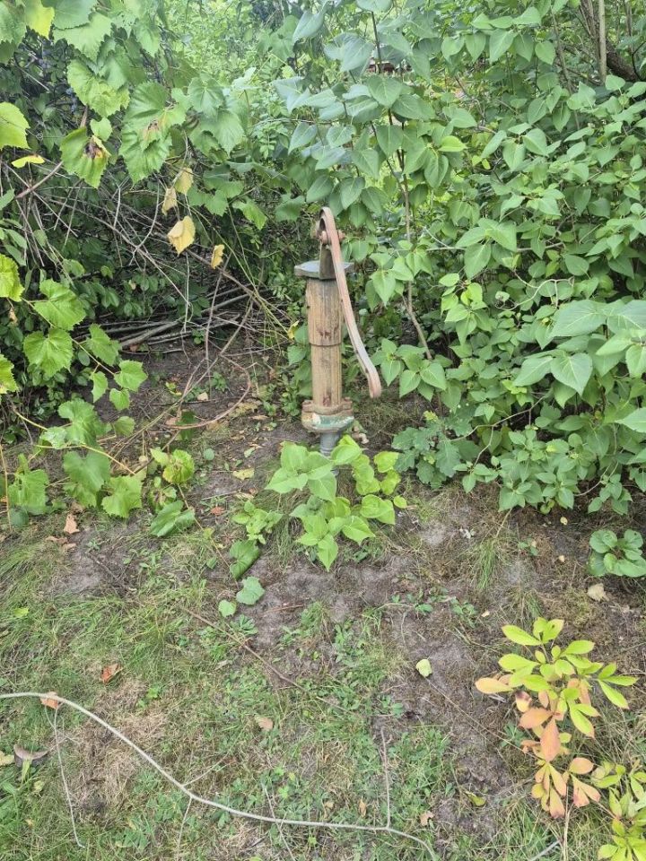Działka rod Warszawa Wawer, ul. Wał Miedzeszyński. Zdjęcie 3