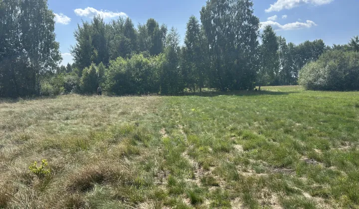 Działka rolna Wola Załężna