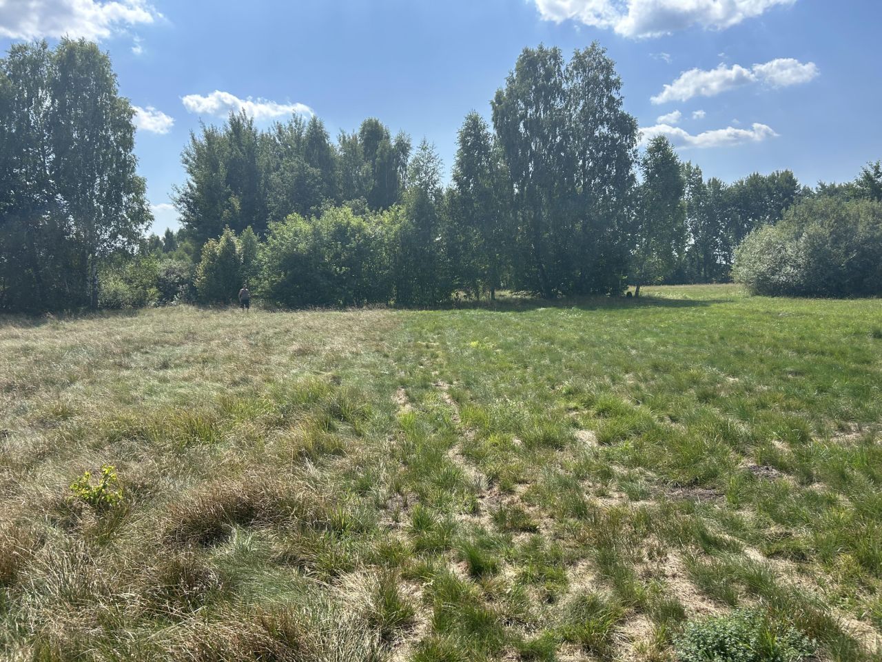 Działka rolna Wola Załężna