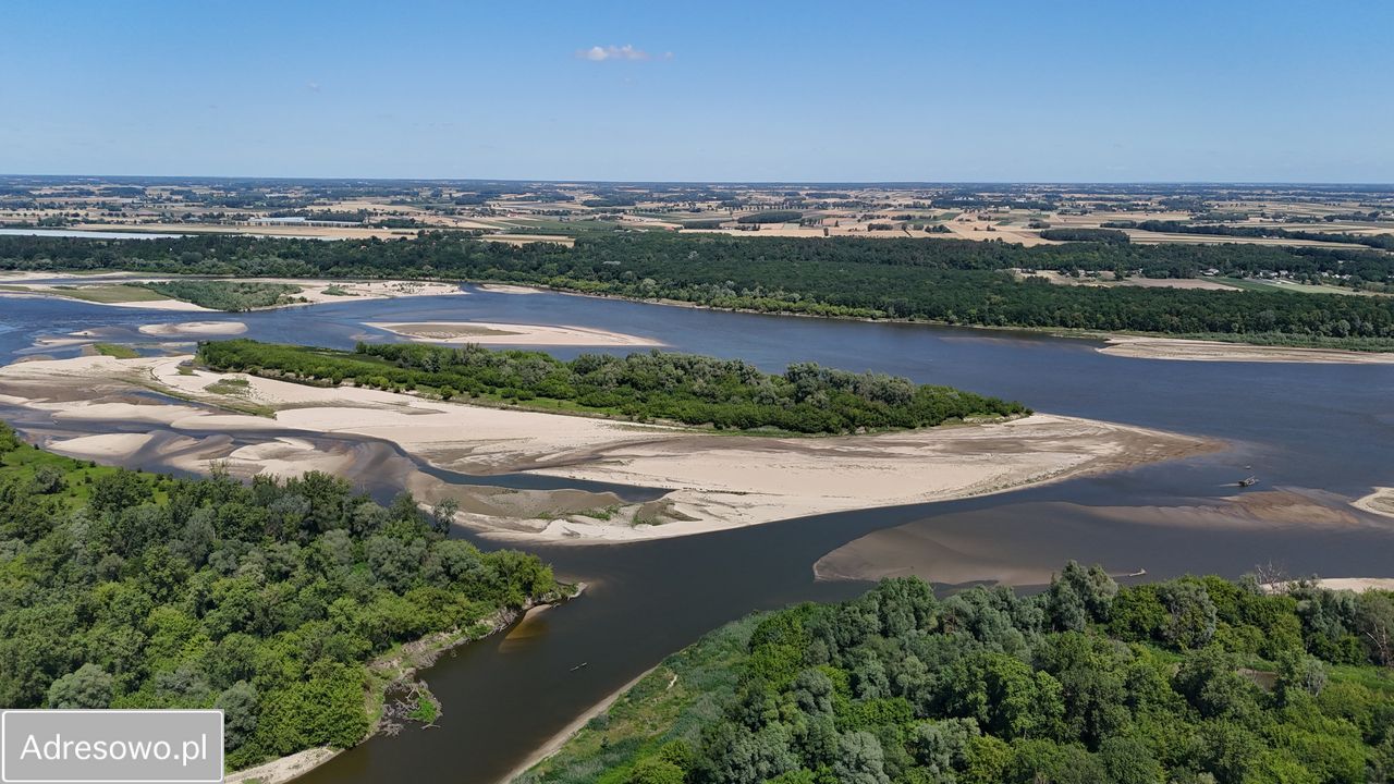 Działka rolno-budowlana Gorzewnica. Zdjęcie 13