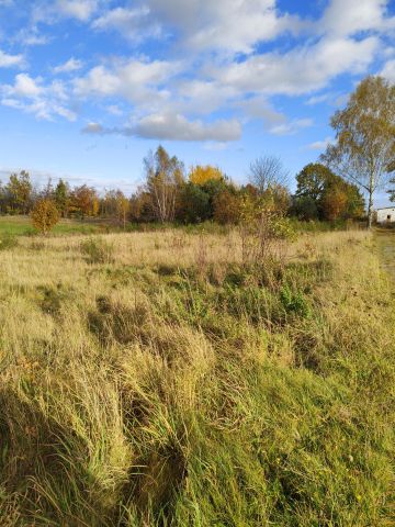 Działka siedliskowa Strzepcz Zielony Dwór, ul. Zielony Dworek. Zdjęcie 4