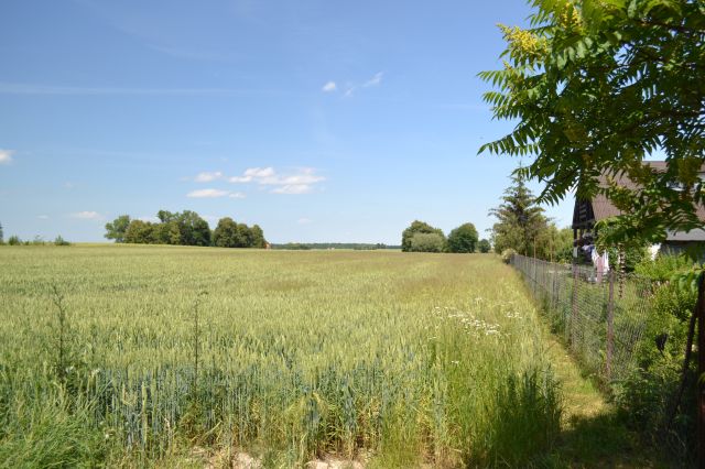 Działka budowlana Krebsówka. Zdjęcie 1