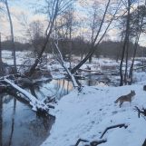 Działka budowlana Rokitnica. Zdjęcie 3