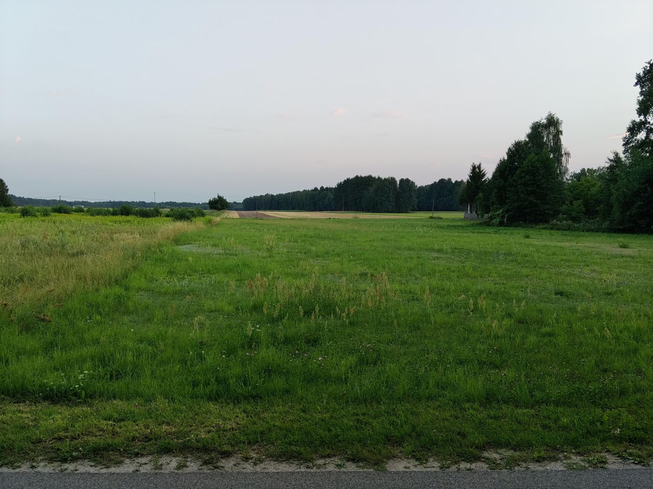 Działka budowlana Suchowizna. Zdjęcie 2