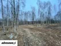 Działka inwestycyjna Domysłów. Zdjęcie 4