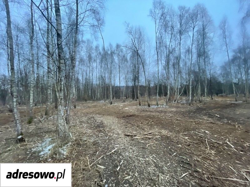 Działka inwestycyjna Domysłów. Zdjęcie 5