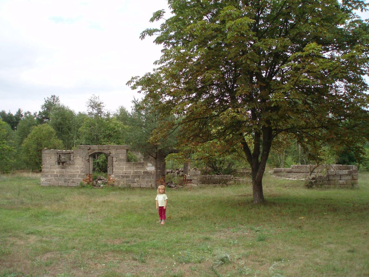 Działka inna Popielżyn Dolny. Zdjęcie 10