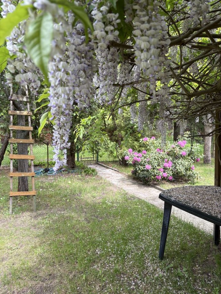 Działka rod Warszawa Bielany, ul. Księżycowa. Zdjęcie 4