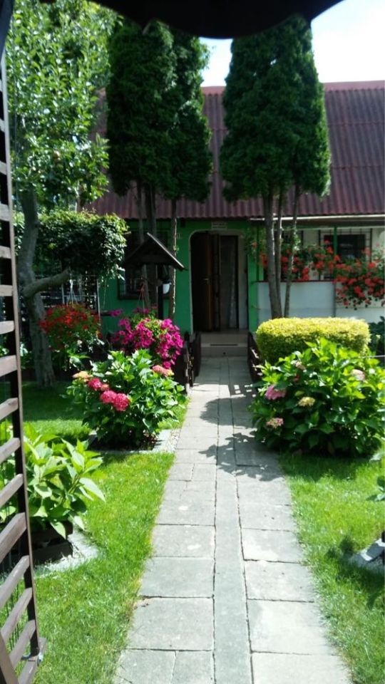 Działka rod Janikowo. Zdjęcie 2