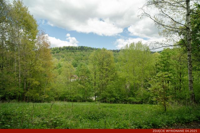 Działka budowlana Konradów. Zdjęcie 3