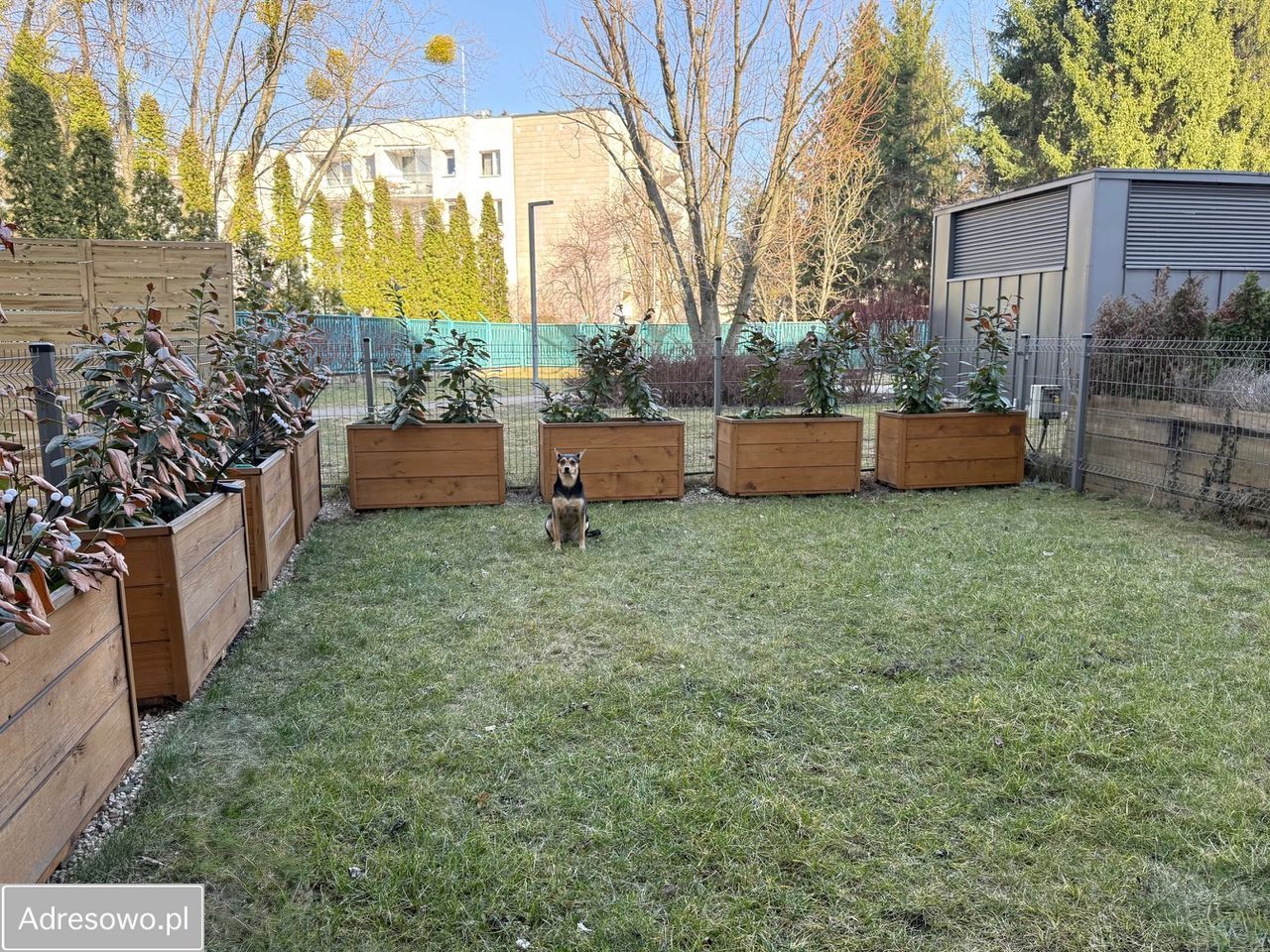 Mieszkanie 2-pokojowe Warszawa Bemowo, ul. Szeligowska. Zdjęcie 12