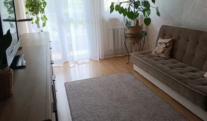 Mieszkanie 2-pokojowe Legnica, ul. Mirandy