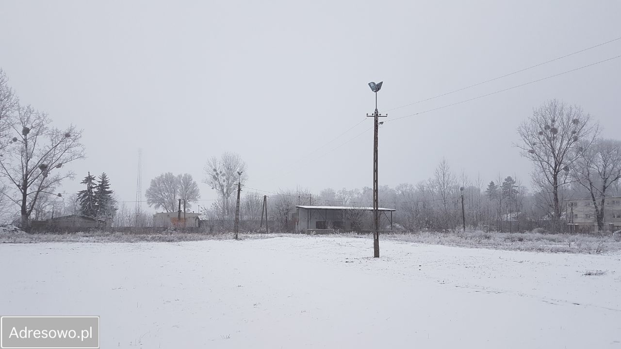 Lokal Rybno, ul. Towarowa. Zdjęcie 2