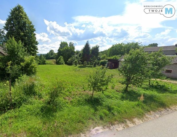 Działka rolna Sieradowice Drugie. Zdjęcie 2