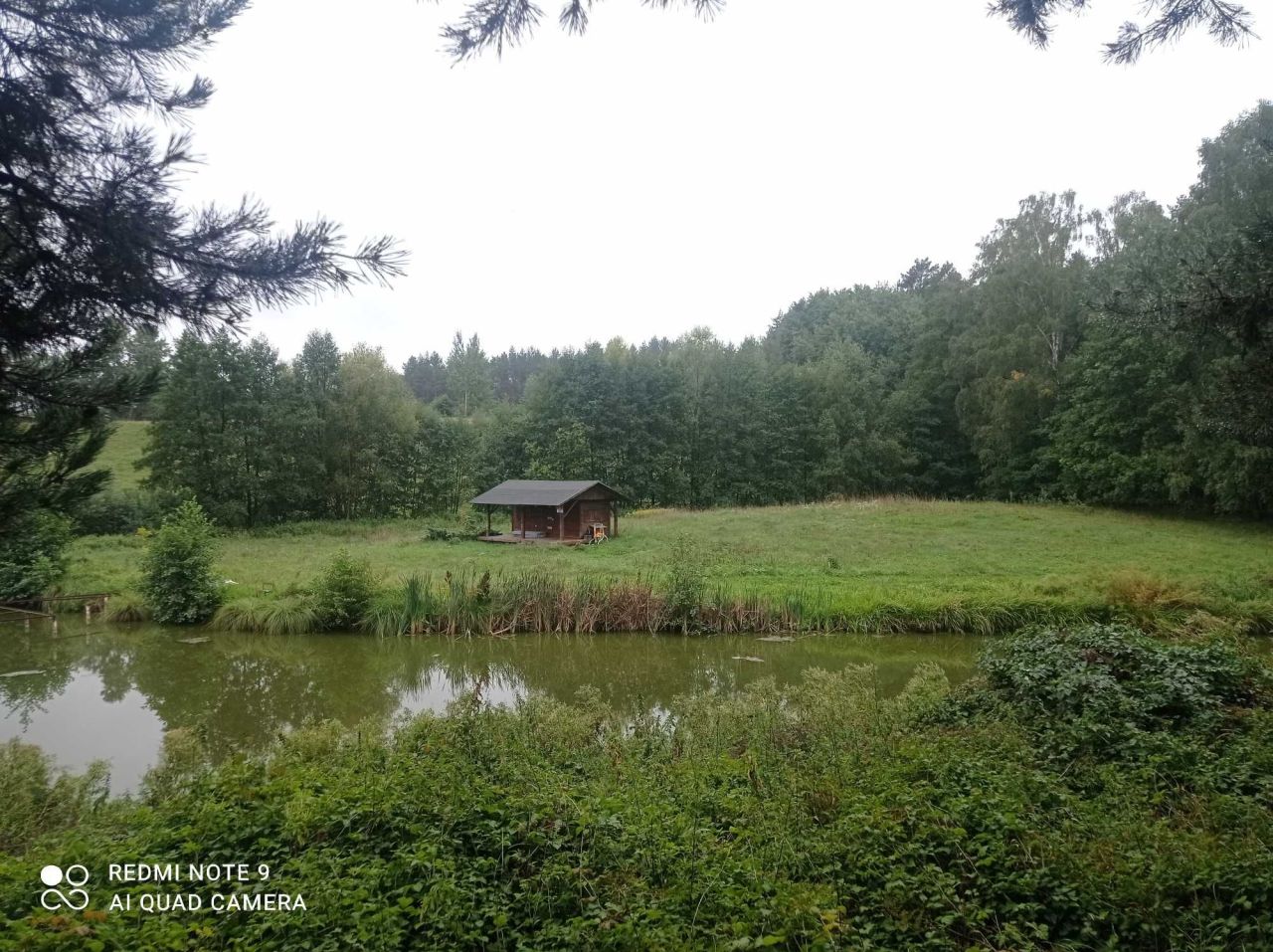 Działka rolno-budowlana Huta-Chojno. Zdjęcie 6