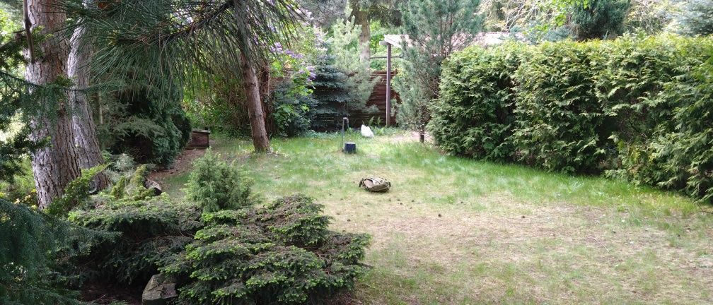 Działka rod Łódź Zdrowie. Zdjęcie 2