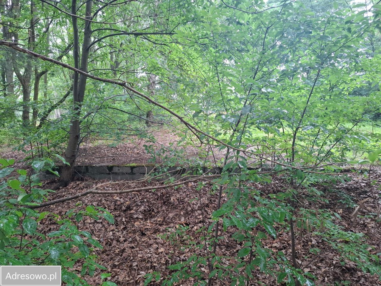 Działka budowlana Glinianka. Zdjęcie 5