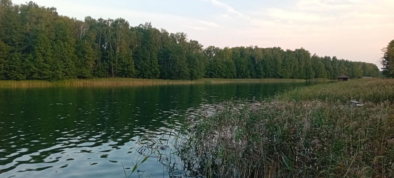 Działka rekreacyjna Serwy. Zdjęcie 13