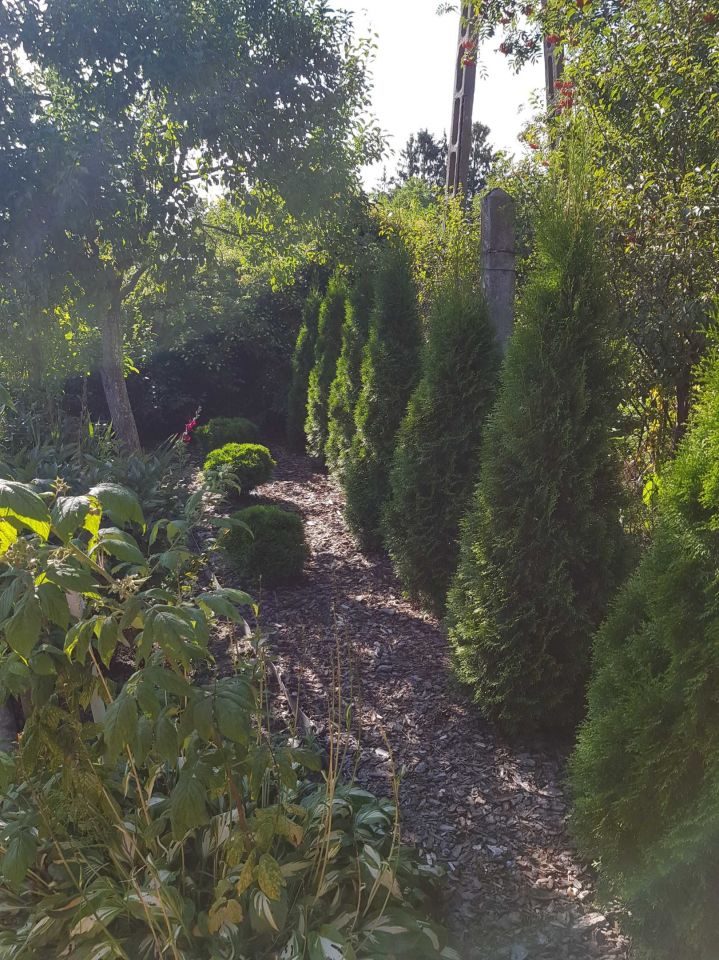 Działka rod Poniatowa. Zdjęcie 4