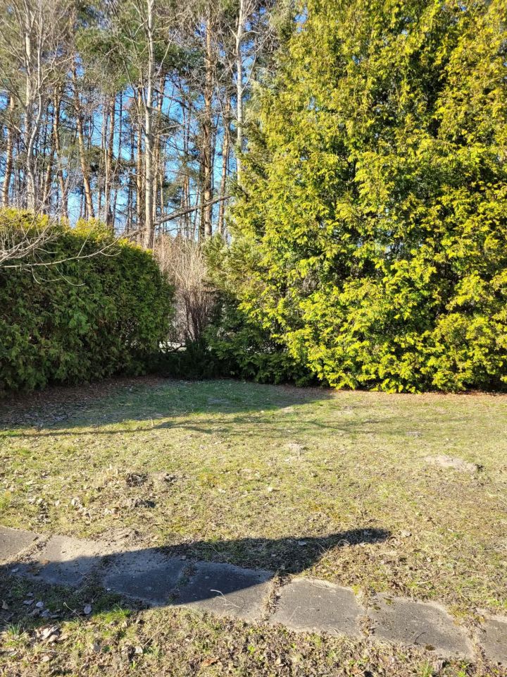 Działka rod Wolica, ul. Ogrodowa. Zdjęcie 5