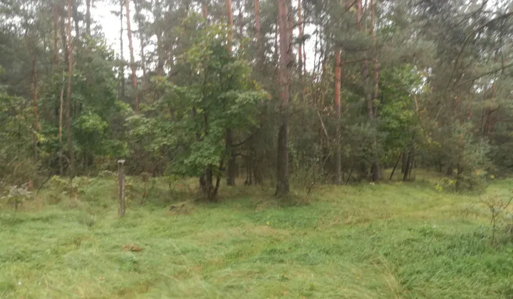 Działka budowlana Jasień