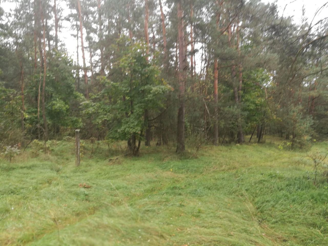 Działka budowlana Jasień. Zdjęcie 1