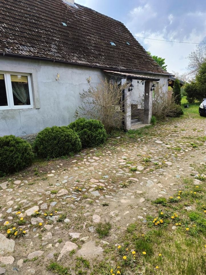 Działka rolno-budowlana Brzeźniak. Zdjęcie 6