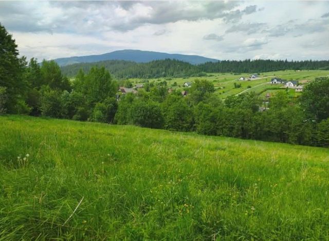 Działka rolno-budowlana Lipnica Wielka. Zdjęcie 1